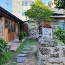 제주 알모 이미지