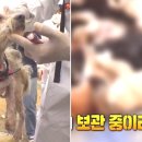 학창농장 이미지