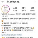 입어보개