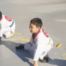 용인대다옴태권도장 이미지