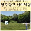 양주향교캠프 2일차 활쏘기와 말타기 특명 사라진 동재서재를 복원해라