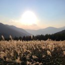 주차장매점 이미지