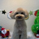 데일리멍 이미지