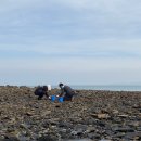 스테이노을 이미지