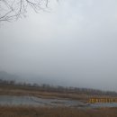 구례향기 이미지