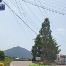 중앙식당(벌교) 이미지