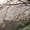 삼랑진발전처 이미지