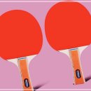 탁구 이미지