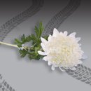 공영 주차장 앞 보도 이미지