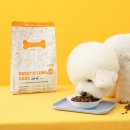 본아페티 이미지