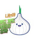 비타민여행사 이미지