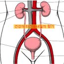 남성들의 양기부족, 이제 신장 건강부터 챙겨야한다. 이미지