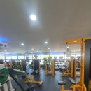 월드짐 휘트니스 | 신림역 헬스장 월드짐 휘트니스 기구많은 곳 추천