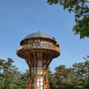 자동차마을 | 원주 치악산 국립공원 구룡야영장 캠핑 후기 - 사이트 정보 및 예약 정보