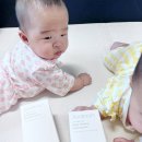 리찌주 | 쌍둥이 아기와 함께 14일 사용해본 주다안 로션 솔직후기