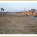 재두네 한우농장 이미지