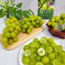 한알영농조합