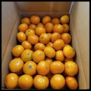 달콤한 푸른농장 이미지