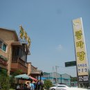콩마당 Daum카페