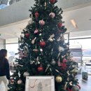 영인로 | 아산 아레피 카페 후기 l 세계건축상 받은 저수지뷰 루프탑 카페