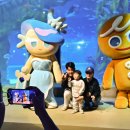 애플태양광발전소4 이미지