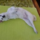 백년옥침대 - 화성시 현대기아로 793 | 백년옥침대