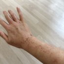 성재상회 이미지