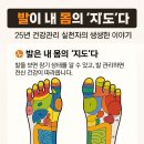 양벌초등학교 이미지