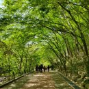 강천산군립공원(병풍폭포) 이미지