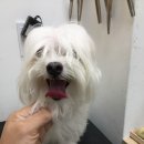 펫파크 동백점 이미지