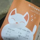 케나인동물병원 네이버블로그