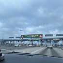 Lucky 애견샵 | 시드니 혼자 여행+중국동방항공 후기