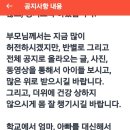 청심 | 외대부고 영어캠프 후기ㅡ 청심, 텐텐과 비교