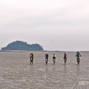 신안군(압해도) 자전거길 Daum카페