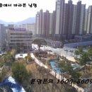 정관5로 이미지