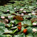 와우호수공원 이미지