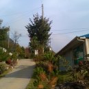 제장민박 이미지