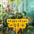 티파니에서 아침을 | 스틸데코 말 말 말 Pick 이벤트 당첨 티파니에서 아침을 문구 드디어 도착 리뷰후기