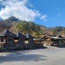우둠지제빵소 | 포천 산정호수 카페 | 우둠지제빵소 | 대형 한옥 베이커리 평일 방문 후기