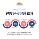 경복궁 경희 한의원 이미지