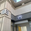 댕댕냠냠 이미지