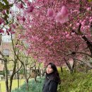 카페타샤 | 광주 카페 추천 🌿 세컨드원 타샤의 정원 솔직후기