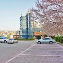 풍동 애니골 입구 정류장 이미지