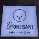 도니바니 애견유치원 이미지