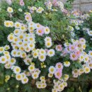 부산종합운동장 아시아드보조경기장 이미지