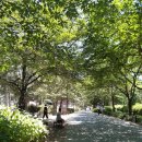 대왕별 아이누리 화장실 이미지