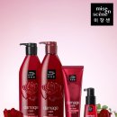 퍼팩트라인 이미지