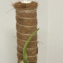 PPO뿅뿅 | 2023년 연말 ~ 2024년 (청룡의 해) 1월 일상