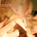 해태동물병원 이미지