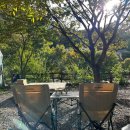 향림오토캠핑장 이미지